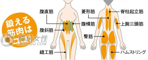 每天3分钟 腰腹赘肉一扫空